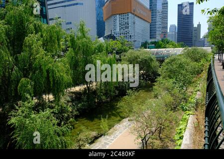 Seoul Corea del Sud - Cheonggyecheon parco escursionistico Foto Stock