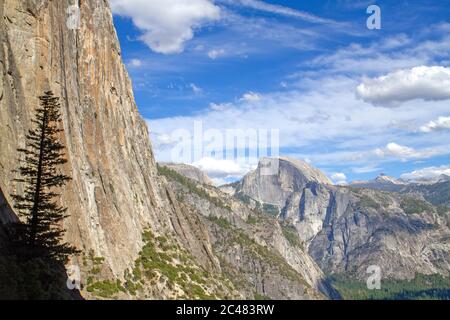 Vista sulla Yosemite Valley fino all'Half Dome Foto Stock