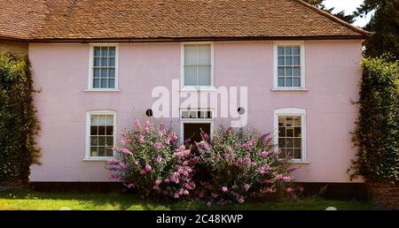Malva comune, Malva sylvestris, fiori rosa si trova al di là di una casa rosa. Foto Stock