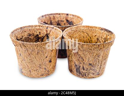 Vaso di fiori, pianta di fibra di cocco isolata su un percorso di ritaglio sfondo bianco. Ridurre il riscaldamento globale. Organico. Foto Stock