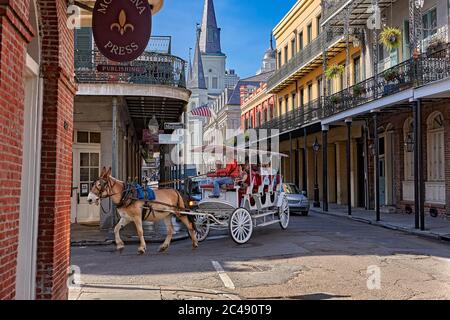 Turisti a cavallo in carrozza trainata da cavalli. Quartiere Francese, New Orleans, Louisiana, USA.