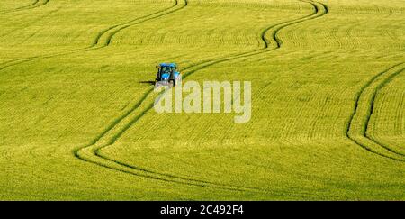 Tracce in un campo di grano, Puy de Dome, Auvergne-Rhone-Alpes, Francia Foto Stock