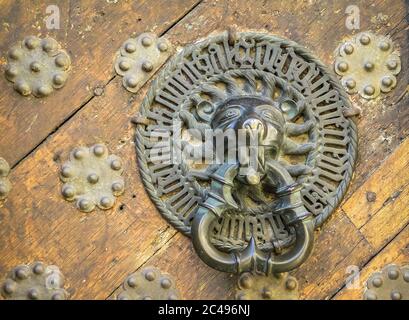 Maniglia in ottone intagliato a forma di leone sulla vecchia porta di legno a Tallinn, Estonia Foto Stock