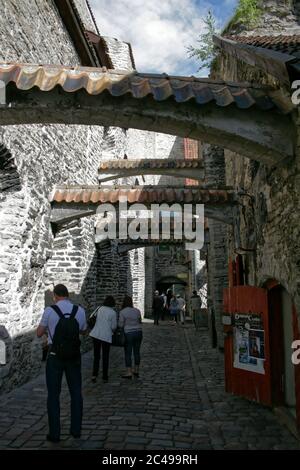 Vacanze negli Stati baltici, 2008 Foto Stock