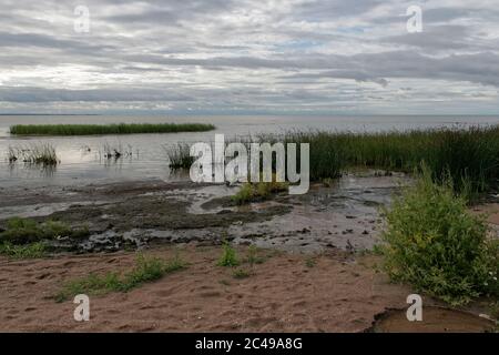 Vacanze negli Stati baltici, 2008 Foto Stock