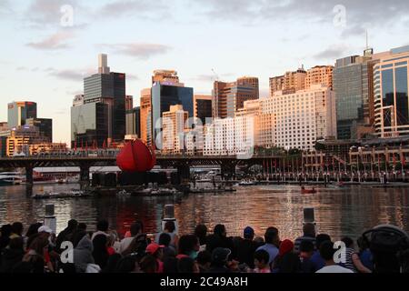 Che cosa assomiglia leggermente ad una versione gigante dell'emblema floreale del NSW, la Waratah (telopea speciosissima) può essere vista in Darling Harbour sull'Australia Foto Stock