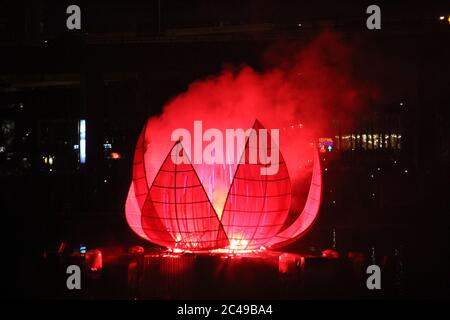 Che cosa assomiglia leggermente ad una versione gigante dell'emblema floreale del NSW, la Waratah (telopea speciosissima) può essere vista in apertura in su durante il fuoco Foto Stock