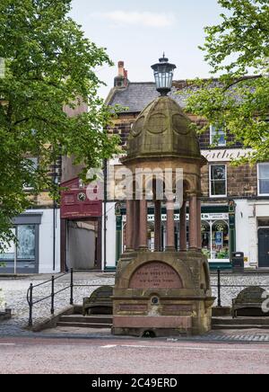 Fontana di bevande nella città mercato di alnwick, Northumberland, Regno Unito in stile rinascimentale italiano, donato da Adam Ronertson. Foto Stock