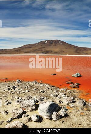 Laguna Colorada, Bolivia Foto Stock