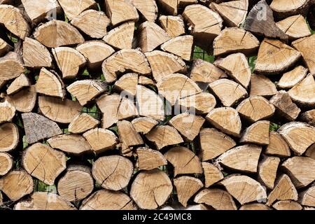 Deposito legna da ardere tagliata sotto capanna e tronchi di quercia di legno preparato per tritare e tagliare a casa cortile. Deposito in legno presso la casa yard.Timber Foto Stock