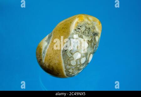 Amulettstein, Sternachat, Rhyolithachat, Thunder Egg, Handschmeichler, Worry Stone, Heilstein, Healing Stone Foto Stock