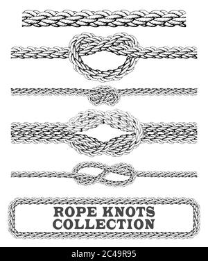 Raccolta nodi corda. Overhand, figura di otto e nodo quadrato. Elementi decorativi senza cuciture. Illustrazione vettoriale. Illustrazione Vettoriale