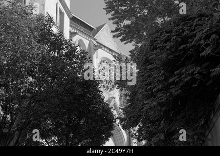 La chiesa neo-gotica di San Rocco è stata costruita nel 19 ° secolo. Ha una bella rosone all'entrata principale. Gli alberi grandi stanno incorniciando esso. Foto Stock