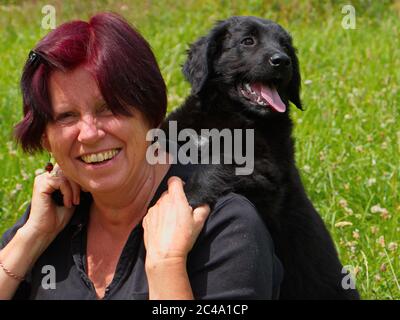 Donna che gioca con un cane su un prato Foto Stock