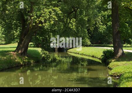 Natura nel parco di Pruhonice vicino Praga in Repubblica Ceca, Europa Foto Stock