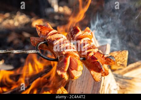 Salsicce arrosto su un bastone sopra il fuoco aperto. Preparazione di cibo all'aperto. Foto Stock