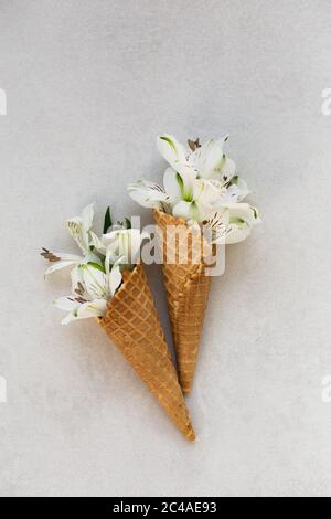 Immagine dall'alto di due focaccine di gelato con fiori bianchi, su un piano portapaziente grigio chiaro. Spazio negativo. Foto Stock