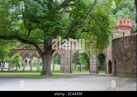 Sontuoso castello in Kamieniec Ząbkowicki, Ząbkowice Śląskie County, Bassa Slesia voivodato, Polonia Foto Stock