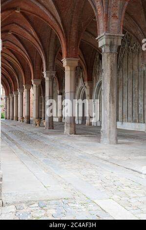 Sontuoso castello in Kamieniec Ząbkowicki, Ząbkowice Śląskie County, Bassa Slesia voivodato, Polonia Foto Stock