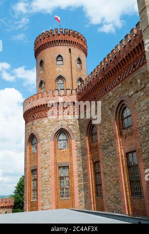 Sontuoso castello in Kamieniec Ząbkowicki, Ząbkowice Śląskie County, Bassa Slesia voivodato, Polonia Foto Stock