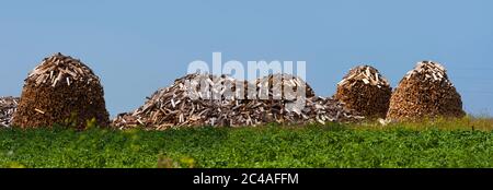 pila di legna da ardere sul campo Foto Stock