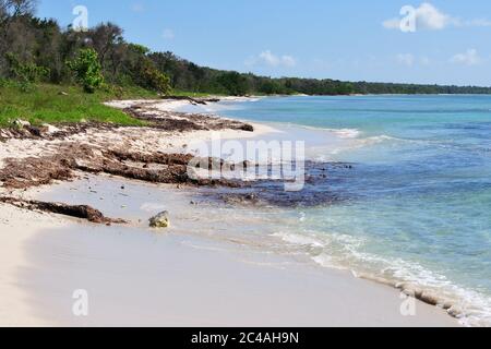 La vista sulla bella spiaggia tropicale, vuota nel Parco Nazionale Est, vicino a Bayahibe, Repubblica Dominikana Foto Stock