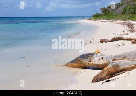 La vista sulla splendida spiaggia tropicale e selvaggia nel Parco Nazionale Est, vicino a Bayahibe, Repubblica Dominikana Foto Stock