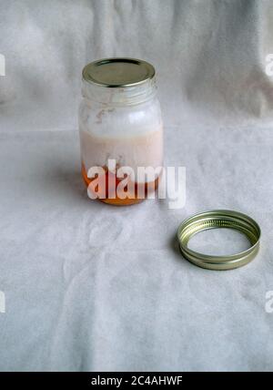 Una vista laterale di un vaso di gelatina che ha iniziato a crescere roba bianco aspetto lordo. Foto Stock