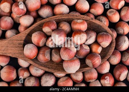 Nocciole in un cucchiaio su sfondo scuro Foto Stock