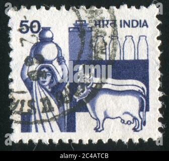 INDIA - CIRCA 1965: Francobollo stampato dall'India, mostra mucche, circa 1965 Foto Stock