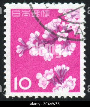 GIAPPONE - CIRCA 1961: Francobollo stampato dal Giappone, mostra fioritura ciliegia, circa 1961 Foto Stock