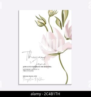 Illustrazione vettoriale morbida magnolia con motivo floreale. Disegno di modello di scheda di invito di nozze, fiori di pony rosa e giglio di calla isolato su bianco. Risparmia il Illustrazione Vettoriale