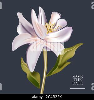 Acquerello botanico magnolia fiore matrimonio invito carta disegno modello, foglie di forma cuore. Salvare la data con vettore botanico disegnato a mano ill Illustrazione Vettoriale