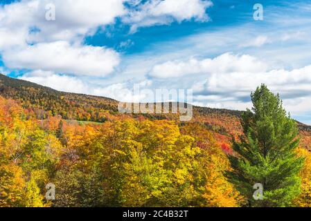 Belle montagne coperte di fitta foresta decidua al picco di caduta fogliame in una giornata di sole autunno Foto Stock