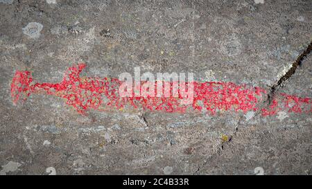 Himmelstalund è un grande parco famoso per avere una delle più grandi collezioni di petroglifici svedesi con più di 1660 immagini. Foto Stock