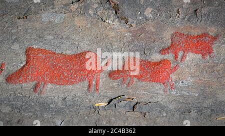 Himmelstalund è un grande parco famoso per avere una delle più grandi collezioni di petroglifici svedesi con più di 1660 immagini. Foto Stock