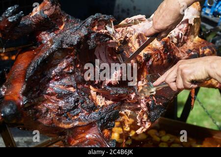 Le mani dello chef tagliano tutto il maiale alla griglia per le bistecche con il coltello. Maiale grigliato carbone tradizionale e fuoco. Il maiale viene arrostito intero su un fuoco aperto. Foto Stock