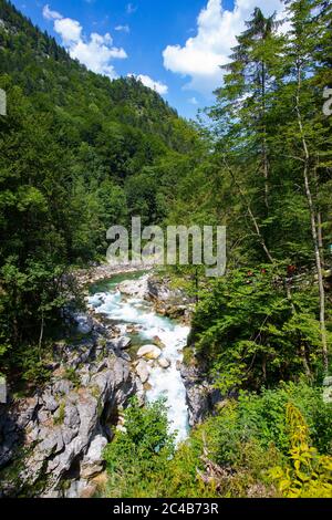 Lammeroefen, Lammerklamm, il fiume Lammer, Scheffau, Tennengebirge, Salzburger Land, provincia di Salisburgo, Austria Foto Stock