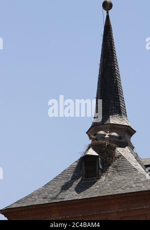 Cicogne occupate (Ciconia ciconia) Nest sul tetto Alcala de Henares Madrid Spagna Foto Stock