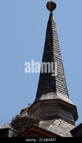 Cicogne occupate (Ciconia ciconia) Nest sul tetto Alcala de Henares Madrid Spagna Foto Stock