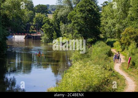 25 giugno 2020. Parco nazionale del ponte di teston, Kent. REGNO UNITO. Una passeggiata in famiglia lungo la River Bank nel giorno più caldo dell'anno finora. Foto Stock