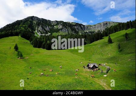 Geografia / viaggio, Austria, Stiria, paesaggi, bellezza, stagione, meteo, foto Kazimierz Jurewicz, Foto Stock