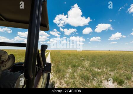 safari veicolo su strada sterrata, Botswana Foto Stock