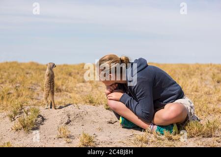 12 anni, seduta a guardare i maerkat uscire dai loro burrows, nel deserto di Kalahari. Foto Stock