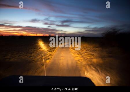 Strada davanti con i fari in jeep nel deserto di Kalahari Foto Stock