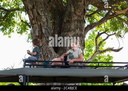 Due bambini riposano sulla piattaforma di osservazione di una jeep safari all'ombra di un grande albero. Foto Stock