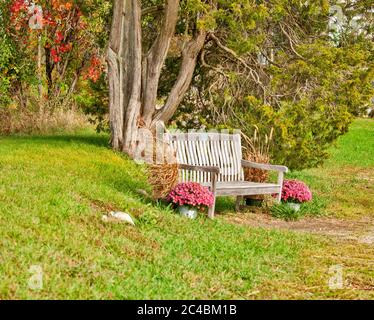 Campi e acqua aggiungono alla bellezza dell'immagine. Foto Stock