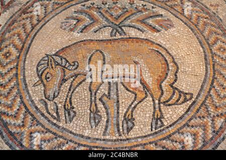 Mosaico, Parco Archeologico, Madaba, Giordania Foto Stock