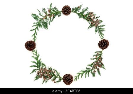 Cipresso di cedro e corona di cono di pino per l'inverno, natale e temi di Capodanno, composizione minima su sfondo bianco. Disposizione piatta, vista dall'alto, spazio per la copia. Foto Stock