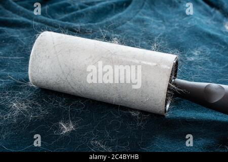 T-shirt coperta di capelli di cane e gatto. Il rullo di pelucchi viene utilizzato per pulire la pelliccia dell'animale domestico dalla biancheria sporca. Foto Stock